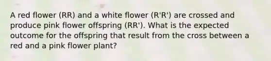 A red flower (RR) and a white flower (R'R') are crossed and produce pink flower offspring (RR'). What is the expected outcome for the offspring that result from the cross between a red and a pink flower plant?