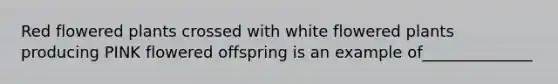 Red flowered plants crossed with white flowered plants producing PINK flowered offspring is an example of______________