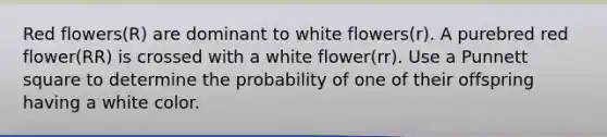 Red flowers(R) are dominant to white flowers(r). A purebred red flower(RR) is crossed with a white flower(rr). Use a Punnett square to determine the probability of one of their offspring having a white color.