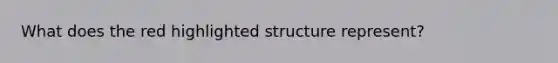 What does the red highlighted structure represent?