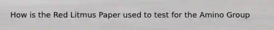How is the Red Litmus Paper used to test for the Amino Group