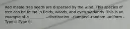Red maple tree seeds are dispersed by the wind. This species of tree can be found in fields, woods, and even wetlands. This is an example of a ________ --distribution. -clumped -random -uniform -Type II -Type III