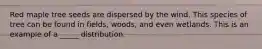 Red maple tree seeds are dispersed by the wind. This species of tree can be found in fields, woods, and even wetlands. This is an example of a _____ distribution.