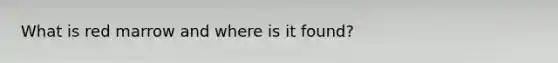 What is red marrow and where is it found?