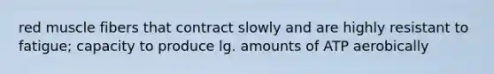 red muscle fibers that contract slowly and are highly resistant to fatigue; capacity to produce lg. amounts of ATP aerobically