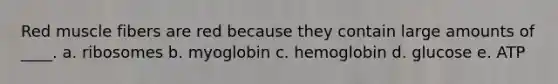​Red muscle fibers are red because they contain large amounts of ____. a. ​ribosomes b. ​myoglobin c. ​hemoglobin d. ​glucose e. ​ATP