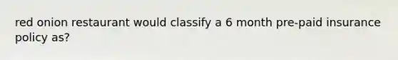 red onion restaurant would classify a 6 month pre-paid insurance policy as?