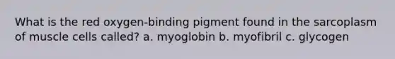 What is the red oxygen-binding pigment found in the sarcoplasm of muscle cells called? a. myoglobin b. myofibril c. glycogen