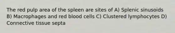 The red pulp area of the spleen are sites of A) Splenic sinusoids B) Macrophages and red blood cells C) Clustered lymphocytes D) Connective tissue septa