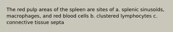 The red pulp areas of the spleen are sites of a. splenic sinusoids, macrophages, and red blood cells b. clustered lymphocytes c. <a href='https://www.questionai.com/knowledge/kYDr0DHyc8-connective-tissue' class='anchor-knowledge'>connective tissue</a> septa