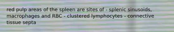 red pulp areas of the spleen are sites of - splenic sinusoids, macrophages and RBC - clustered lymphocytes - connective tissue septa