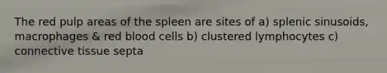 The red pulp areas of the spleen are sites of a) splenic sinusoids, macrophages & red blood cells b) clustered lymphocytes c) connective tissue septa