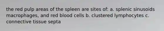 the red pulp areas of the spleen are sites of: a. splenic sinusoids macrophages, and red blood cells b. clustered lymphocytes c. connective tissue septa