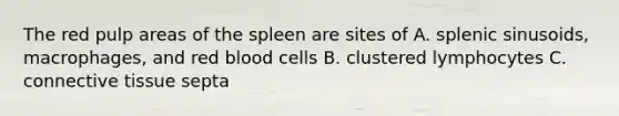 The red pulp areas of the spleen are sites of A. splenic sinusoids, macrophages, and red blood cells B. clustered lymphocytes C. connective tissue septa