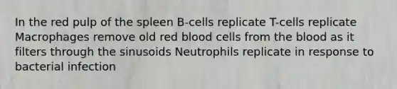 In the red pulp of the spleen B-cells replicate T-cells replicate Macrophages remove old red blood cells from the blood as it filters through the sinusoids Neutrophils replicate in response to bacterial infection