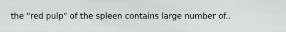 the "red pulp" of the spleen contains large number of..