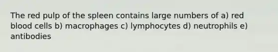 The red pulp of the spleen contains large numbers of a) red blood cells b) macrophages c) lymphocytes d) neutrophils e) antibodies