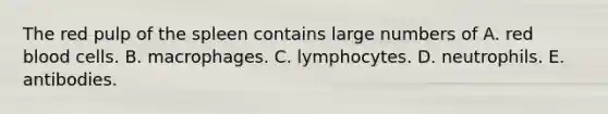 The red pulp of the spleen contains large numbers of A. red blood cells. B. macrophages. C. lymphocytes. D. neutrophils. E. antibodies.