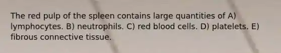 The red pulp of the spleen contains large quantities of A) lymphocytes. B) neutrophils. C) red blood cells. D) platelets. E) fibrous connective tissue.