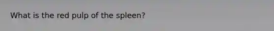 What is the red pulp of the spleen?