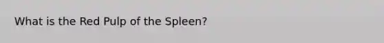 What is the Red Pulp of the Spleen?