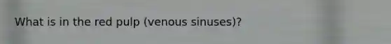 What is in the red pulp (venous sinuses)?