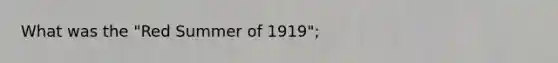 What was the "Red Summer of 1919";