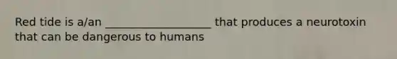 Red tide is a/an ___________________ that produces a neurotoxin that can be dangerous to humans