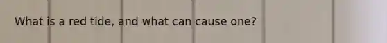 What is a red tide, and what can cause one?