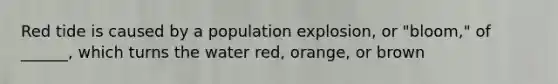 Red tide is caused by a population explosion, or "bloom," of ______, which turns the water red, orange, or brown