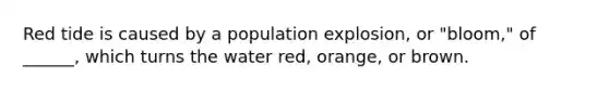 Red tide is caused by a population explosion, or "bloom," of ______, which turns the water red, orange, or brown.