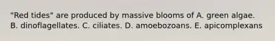 "Red tides" are produced by massive blooms of A. green algae. B. dinoflagellates. C. ciliates. D. amoebozoans. E. apicomplexans