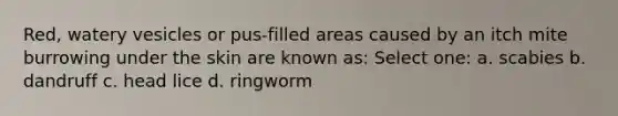 Red, watery vesicles or pus-filled areas caused by an itch mite burrowing under the skin are known as: Select one: a. scabies b. dandruff c. head lice d. ringworm