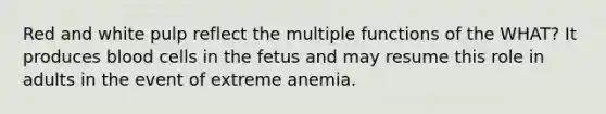 Red and white pulp reflect the multiple functions of the WHAT? It produces blood cells in the fetus and may resume this role in adults in the event of extreme anemia.