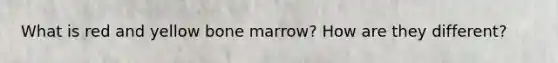 What is red and yellow bone marrow? How are they different?