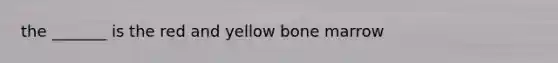 the _______ is the red and yellow bone marrow