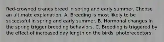 Red-crowned cranes breed in spring and early summer. Choose an ultimate explanation: A. Breeding is most likely to be successful in spring and early summer. B. Hormonal changes in the spring trigger breeding behaviors. C. Breeding is triggered by the effect of increased day length on the birds' photoreceptors.