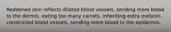 Reddened skin reflects dilated <a href='https://www.questionai.com/knowledge/kZJ3mNKN7P-blood-vessels' class='anchor-knowledge'>blood vessels</a>, sending more blood to <a href='https://www.questionai.com/knowledge/kEsXbG6AwS-the-dermis' class='anchor-knowledge'>the dermis</a>. eating too many carrots. inheriting extra melanin. constricted blood vessels, sending more blood to <a href='https://www.questionai.com/knowledge/kBFgQMpq6s-the-epidermis' class='anchor-knowledge'>the epidermis</a>.