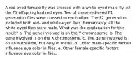 A red-eyed female fly was crossed with a white-eyed male fly. All the F1 offspring had red eyes. Two of these red-eyed F1 generation flies were crossed to each other. The F2 generation included both red- and white-eyed flies. Remarkably, all the white-eyed flies were male. What was the explanation for this result? a. The gene involved is on the Y chromosome. b. The gene involved is on the X chromosome. c. The gene involved is on an autosome, but only in males. d. Other male-specific factors influence eye color in flies. e. Other female-specific factors influence eye color in flies.