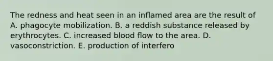 The redness and heat seen in an inﬂamed area are the result of A. phagocyte mobilization. B. a reddish substance released by erythrocytes. C. increased blood ﬂow to the area. D. vasoconstriction. E. production of interfero