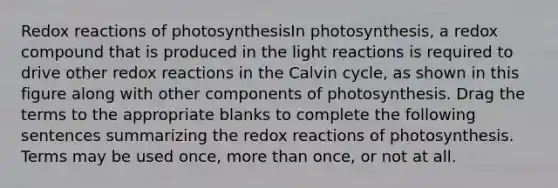 Redox reactions of photosynthesisIn photosynthesis, a redox compound that is produced in the light reactions is required to drive other redox reactions in the Calvin cycle, as shown in this figure along with other components of photosynthesis. Drag the terms to the appropriate blanks to complete the following sentences summarizing the redox reactions of photosynthesis. Terms may be used once, more than once, or not at all.