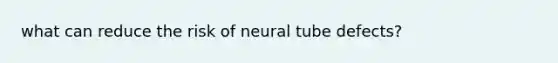 what can reduce the risk of neural tube defects?