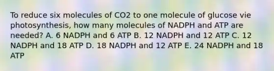 To reduce six molecules of CO2 to one molecule of glucose vie photosynthesis, how many molecules of NADPH and ATP are needed? A. 6 NADPH and 6 ATP B. 12 NADPH and 12 ATP C. 12 NADPH and 18 ATP D. 18 NADPH and 12 ATP E. 24 NADPH and 18 ATP