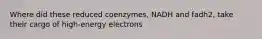 Where did these reduced coenzymes, NADH and fadh2, take their cargo of high-energy electrons