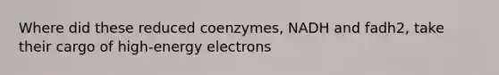 Where did these reduced coenzymes, NADH and fadh2, take their cargo of high-energy electrons