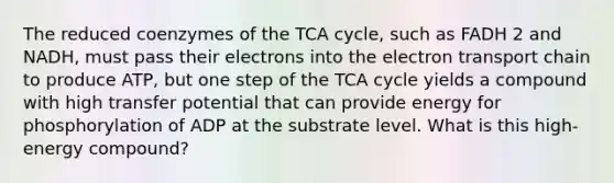 The reduced coenzymes of the TCA cycle, such as FADH 2 and NADH, must pass their electrons into the electron transport chain to produce ATP, but one step of the TCA cycle yields a compound with high transfer potential that can provide energy for phosphorylation of ADP at the substrate level. What is this high-energy compound?