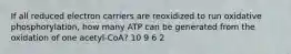 If all reduced electron carriers are reoxidized to run oxidative phosphorylation, how many ATP can be generated from the oxidation of one acetyl-CoA? 10 9 6 2