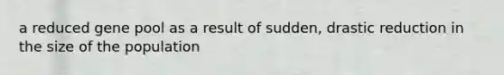 a reduced gene pool as a result of sudden, drastic reduction in the size of the population