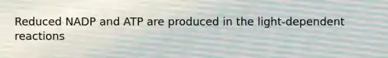 Reduced NADP and ATP are produced in the light-dependent reactions