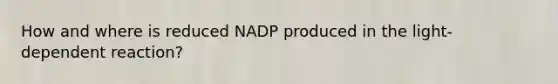 How and where is reduced NADP produced in the light-dependent reaction?